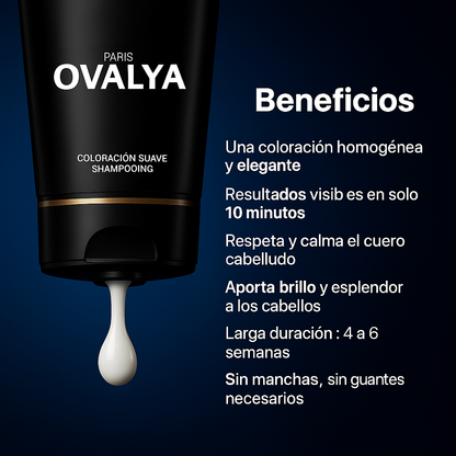 Champú colorante instantáneo